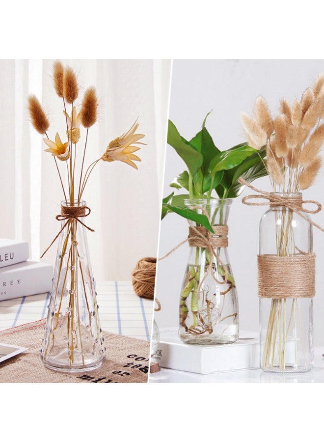 ديكور هيلز مزهريات زجاجية شفافة من ديكورهيلز، مناسبة للزراعة المائية، مزودة بحبل، مزهرية زجاجية شفافة مزخرفة لغرفة المعيشة، الطاولة، ديكور المنزل، النباتات الداخلية، والزهور المجففة - Image 5